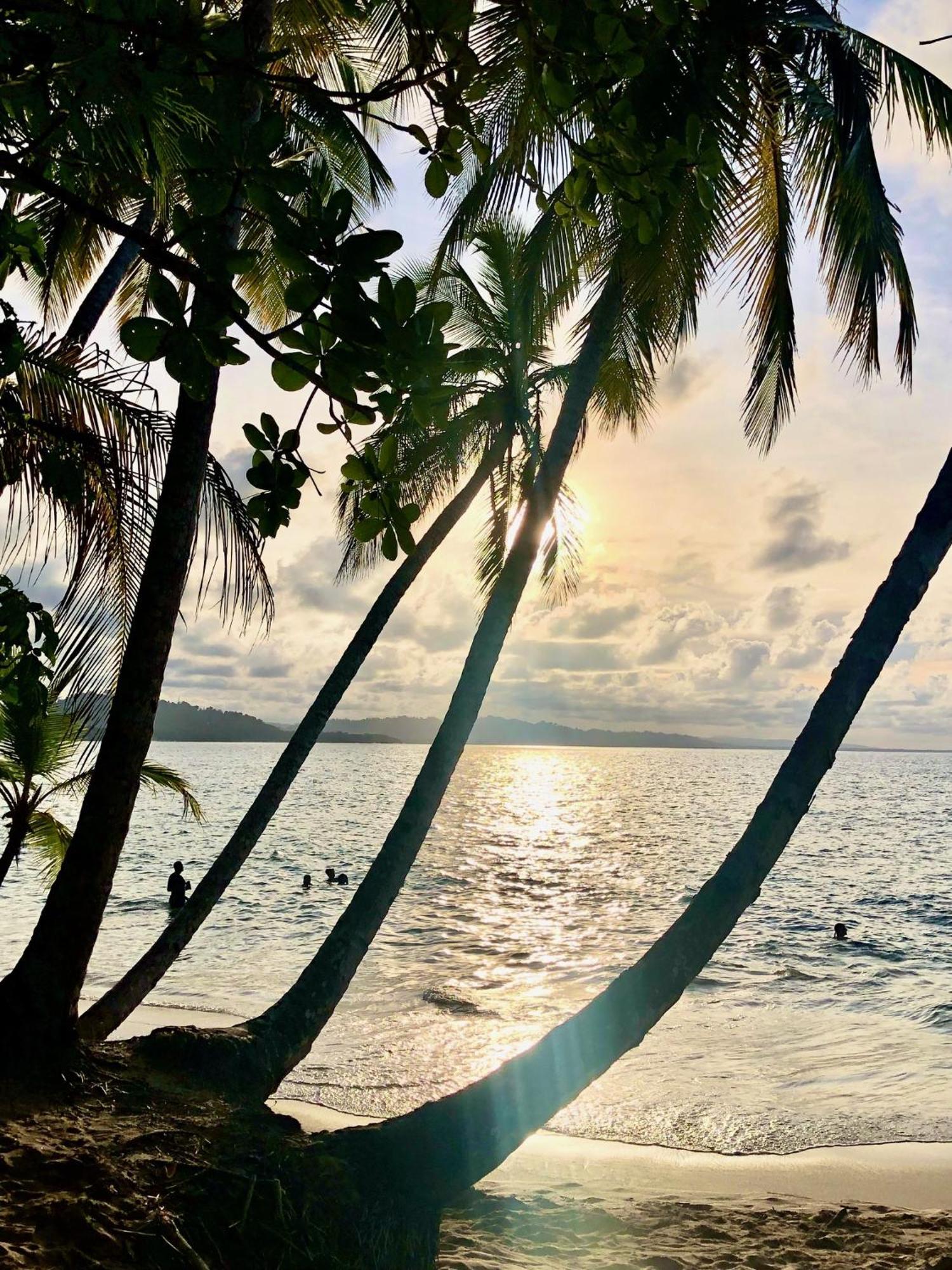 Cabinas Ole Caribe Puerto Viejo de Talamanca Экстерьер фото