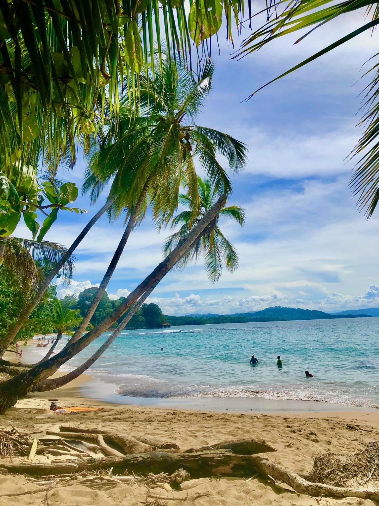 Cabinas Ole Caribe Puerto Viejo de Talamanca Экстерьер фото