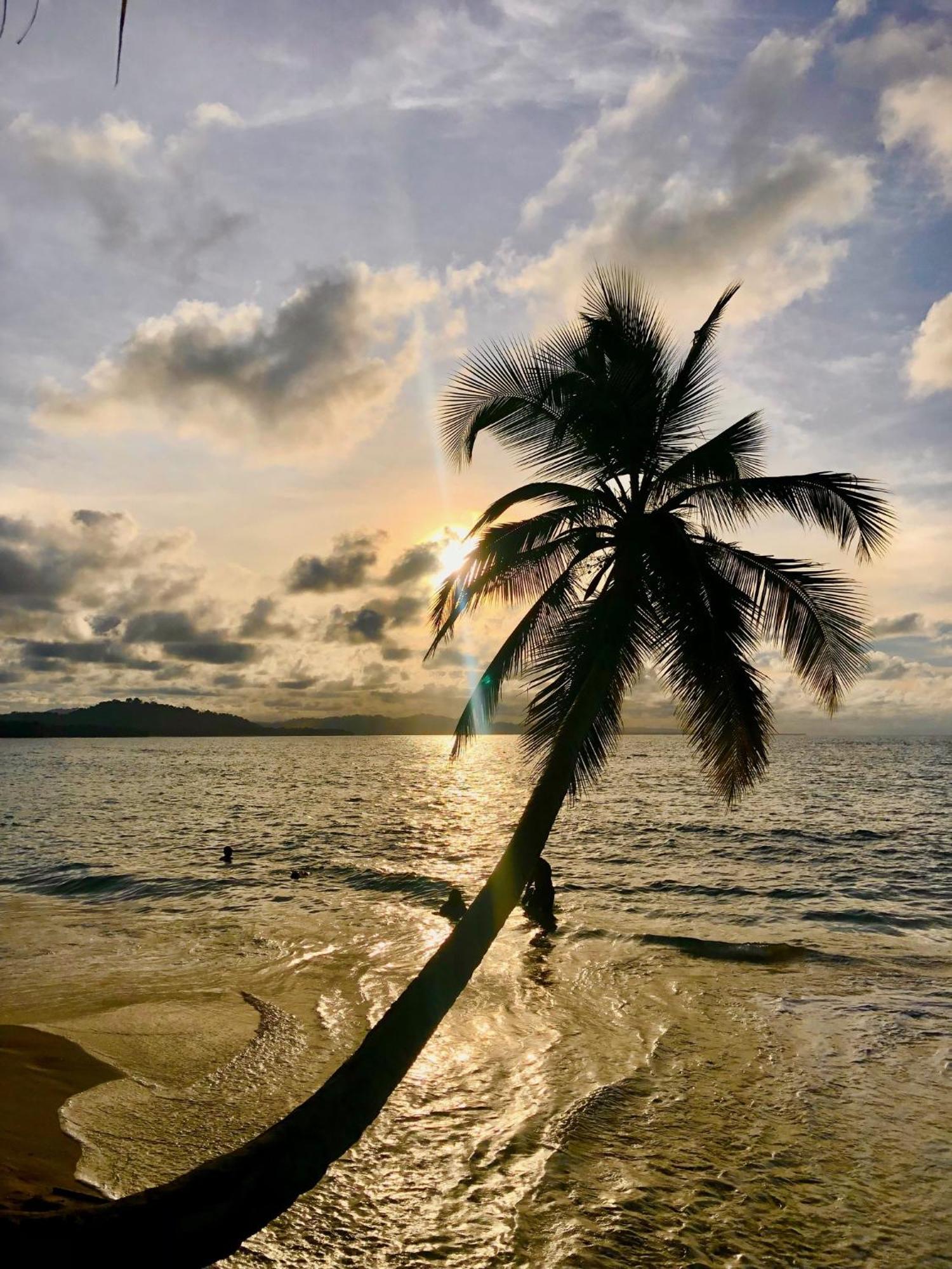 Cabinas Ole Caribe Puerto Viejo de Talamanca Экстерьер фото