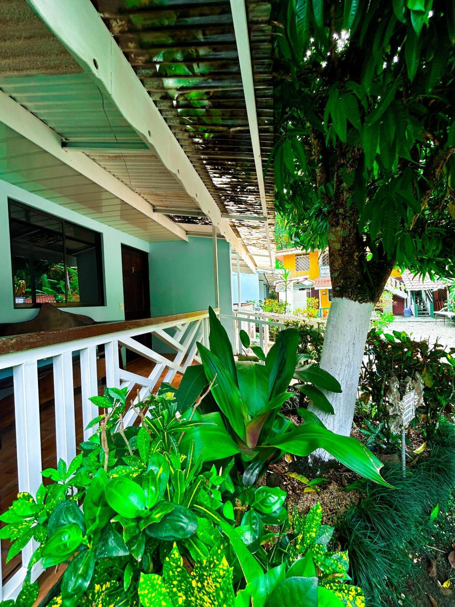 Cabinas Ole Caribe Puerto Viejo de Talamanca Экстерьер фото